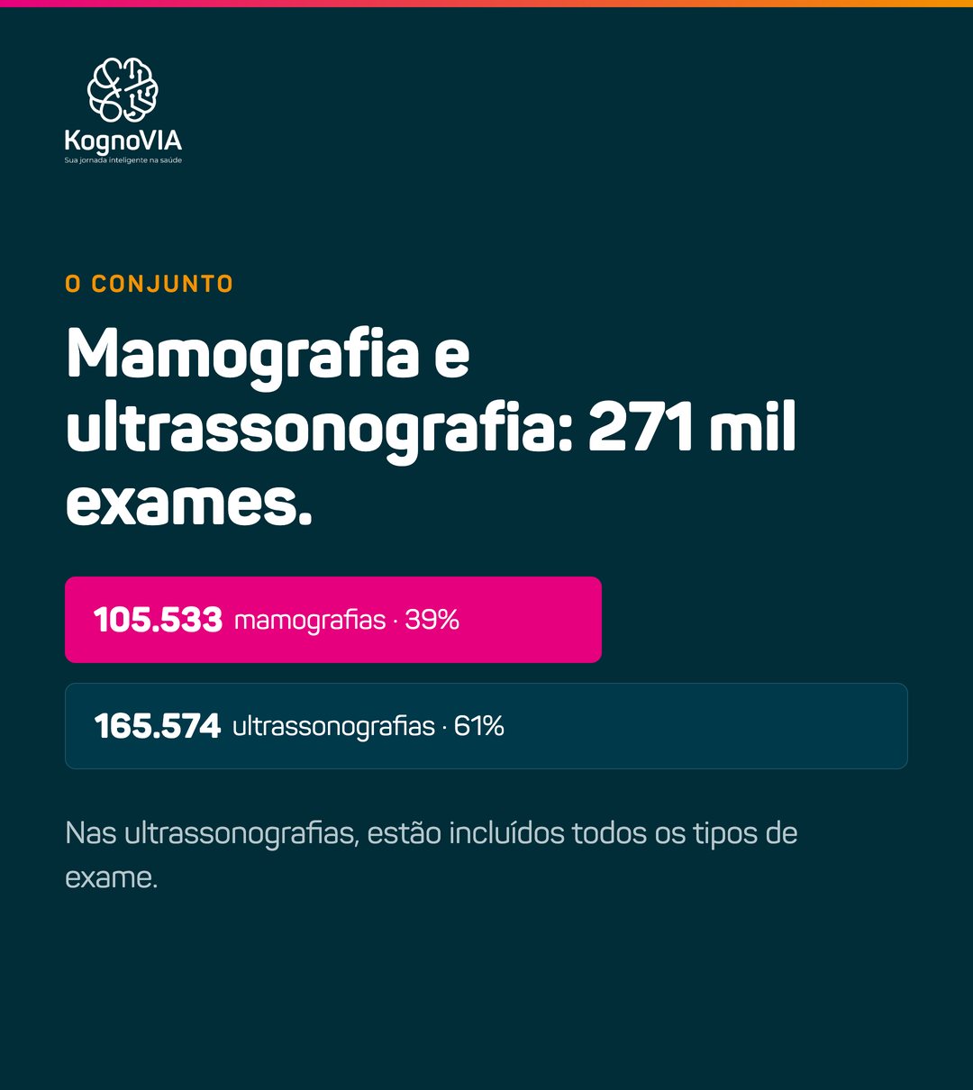 Duas barras: 105.533 mamografias, 39 por cento, e 165.574 ultrassonografias, 61 por cento, somando 271 mil exames